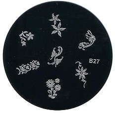      B27